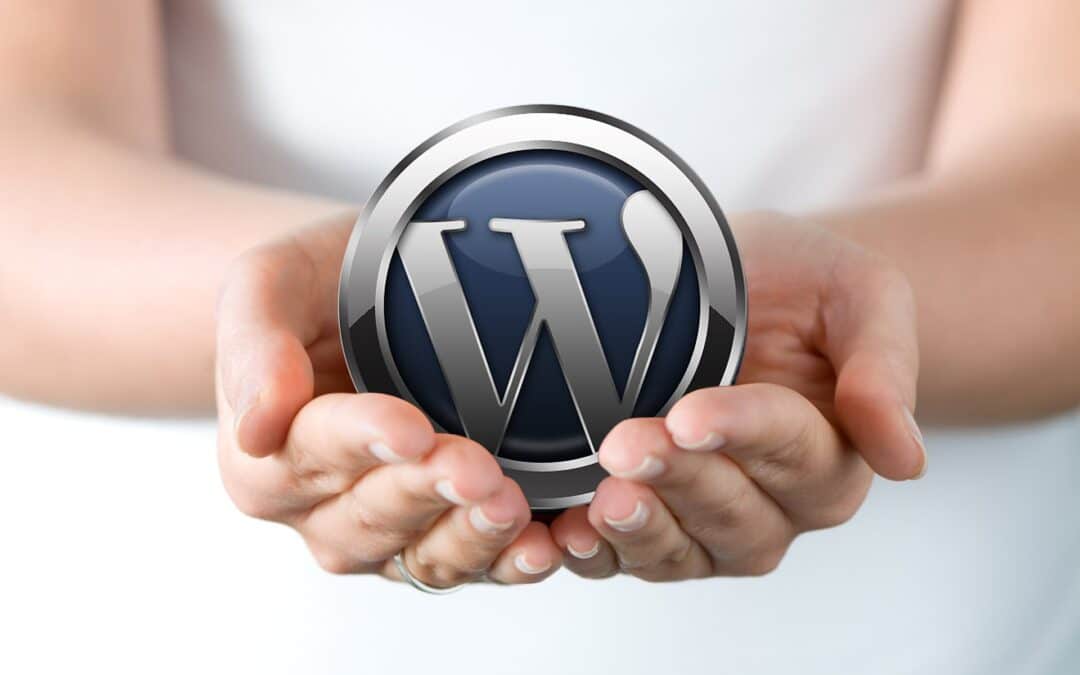 Expert WordPress Design and Consulting